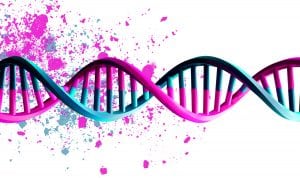 DNA Helix, gene, sbi